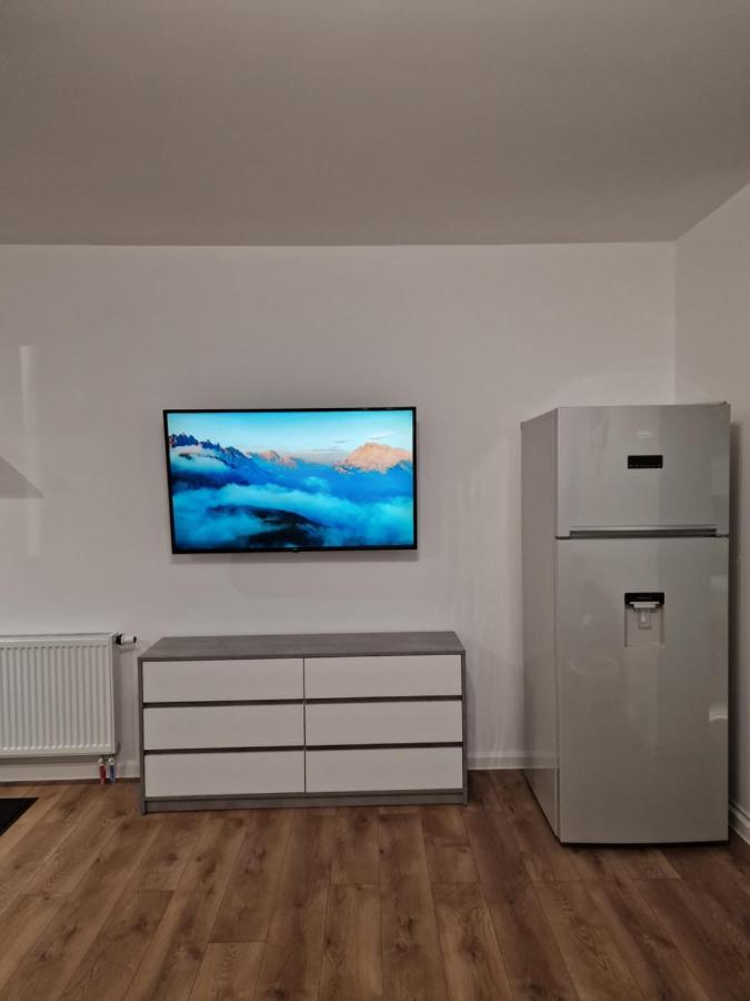 Vic Apartament 德罗贝塔-塞维林堡 外观 照片