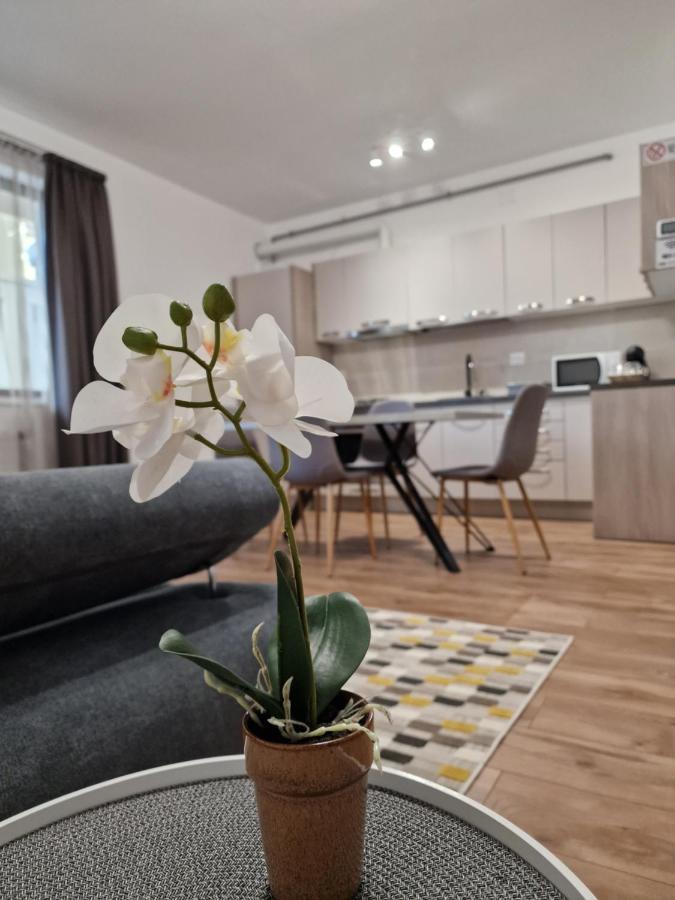 Vic Apartament 德罗贝塔-塞维林堡 外观 照片