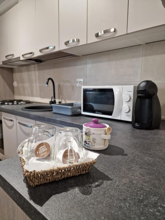 Vic Apartament 德罗贝塔-塞维林堡 外观 照片