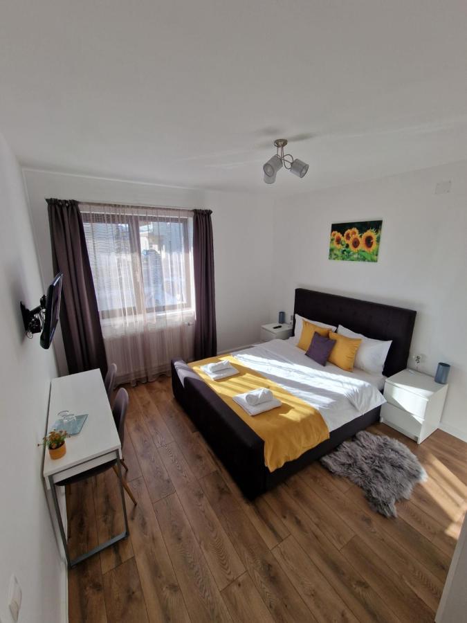 Vic Apartament 德罗贝塔-塞维林堡 外观 照片